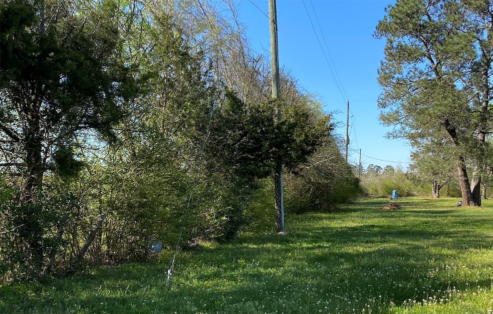 0 Old Hempstead Rd, Magnolia, TX 77355 - photo 1