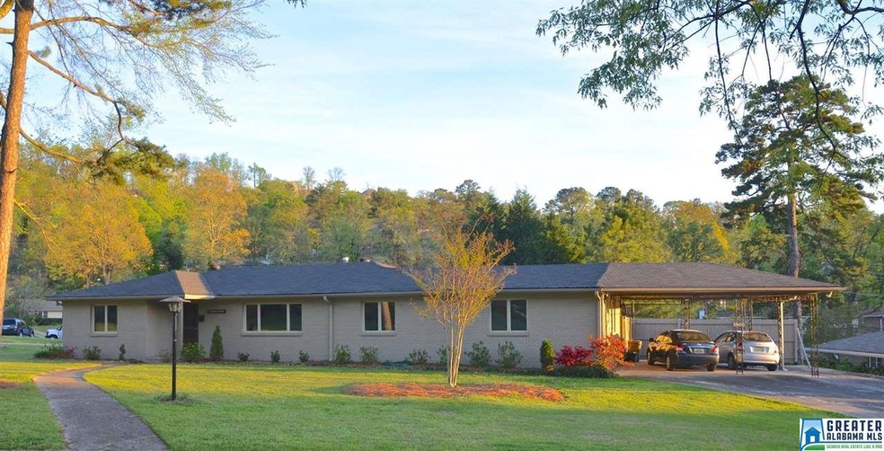 Large flat lot