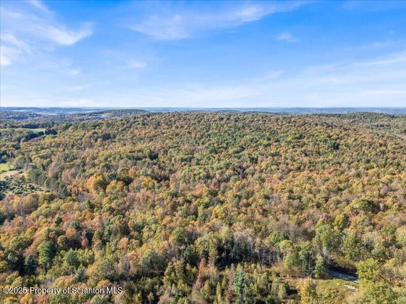 1573 Cork Hill Rd, Brackney, PA 18812 - photo 1