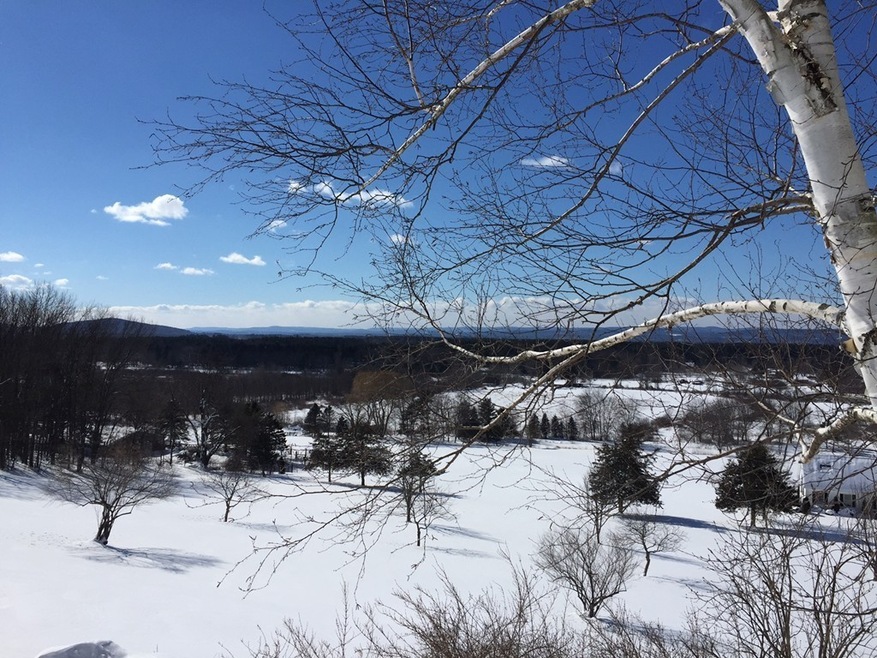 26-2 Plumtrees Rd, Amherst, MA 01002 - photo 1