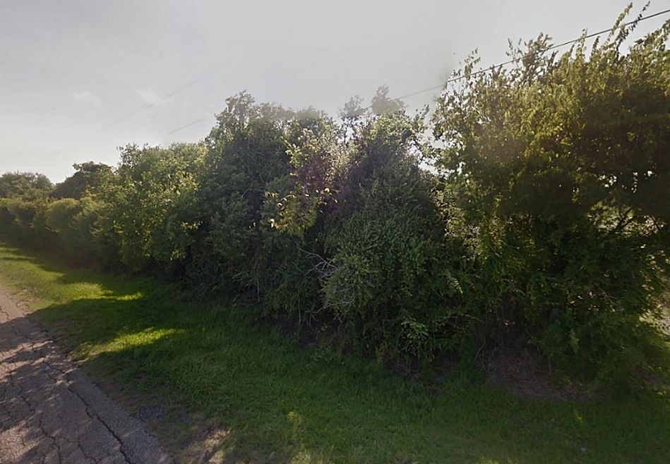 3202 County Road 172, Alvin, TX 77511 - photo 1