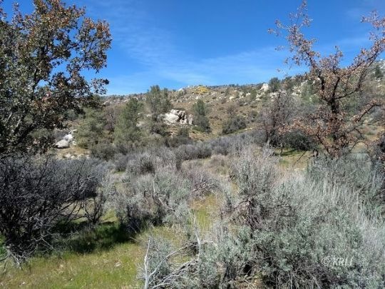 Beautiful views 2