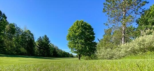 golf course