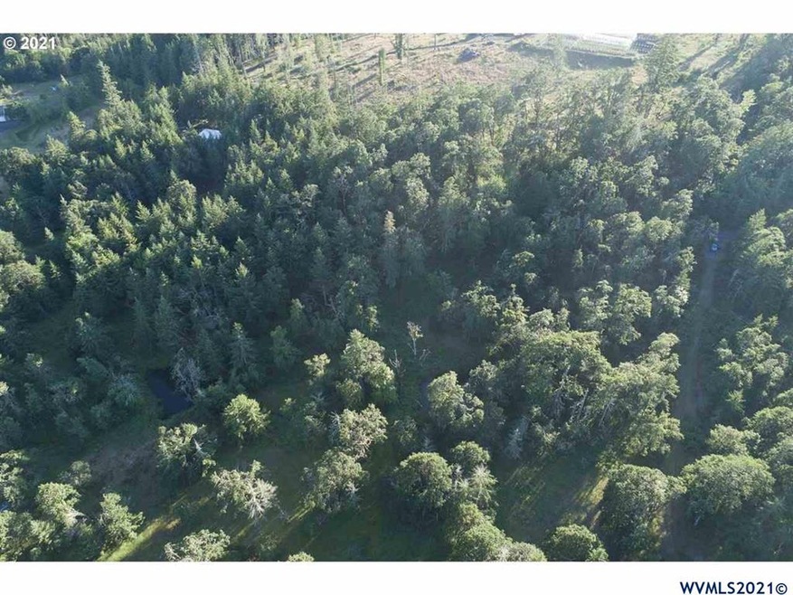 Block 5 Lot 5 Sheridan View Acres, Sheridan, OR 97378 - photo 1