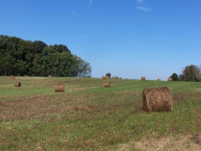 21 50 Acs Smith Chapel Rd, Cookeville, TN 38501 - photo 1