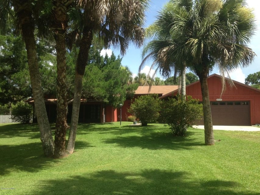 photo 1 (1)