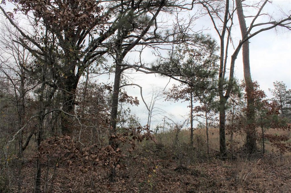 Dorcheat Road