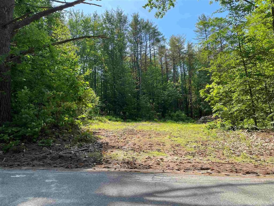 130 Granite Rd, Ossipee, NH 03864 - photo 1