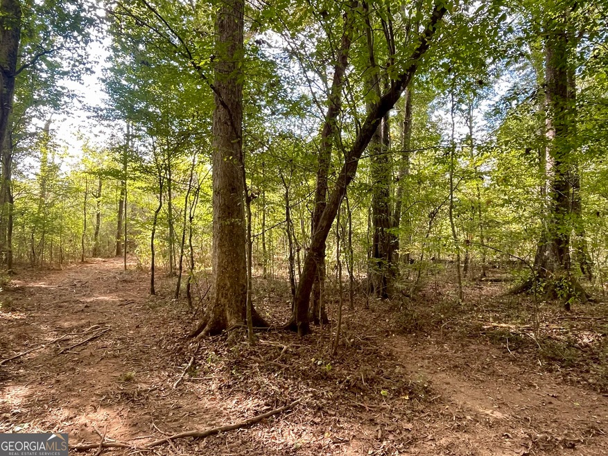 0 Buffalo Creek Rd unit 10624169, Carrollton, GA 30117 - photo 1