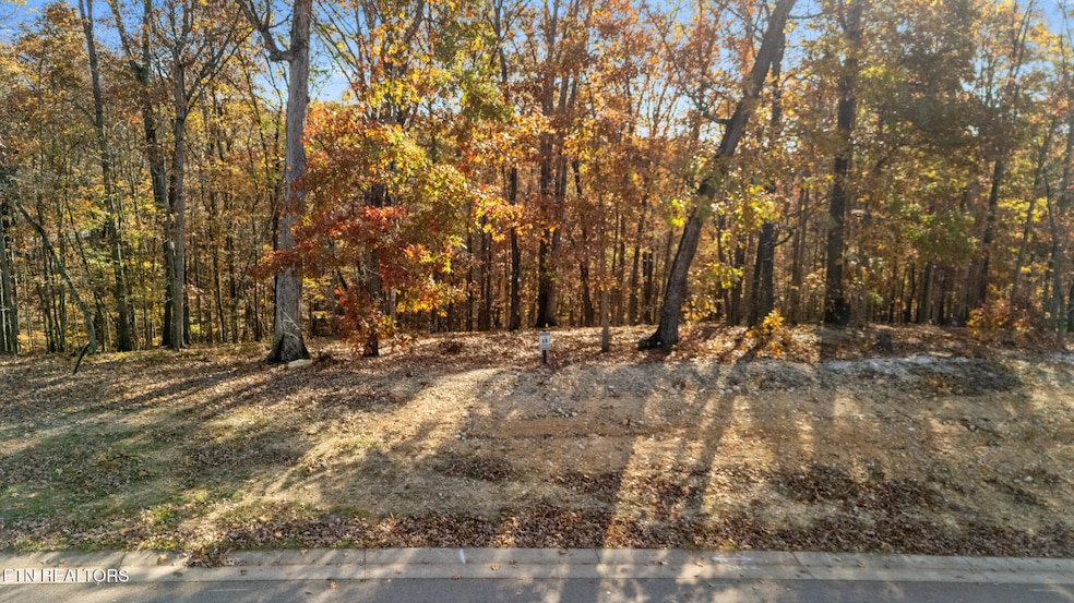 dji_20251112095604_0700_d