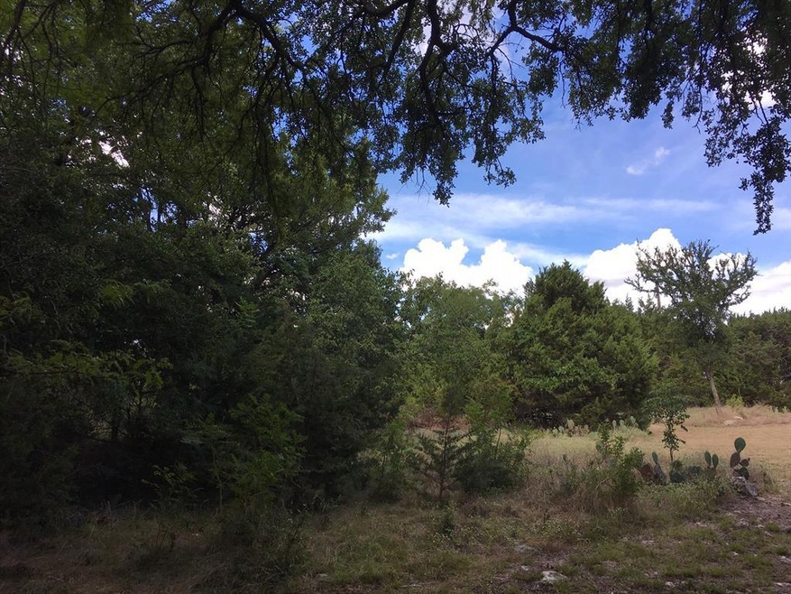 16041 Faircrest Dr, Whitney, TX 76692 - photo 1