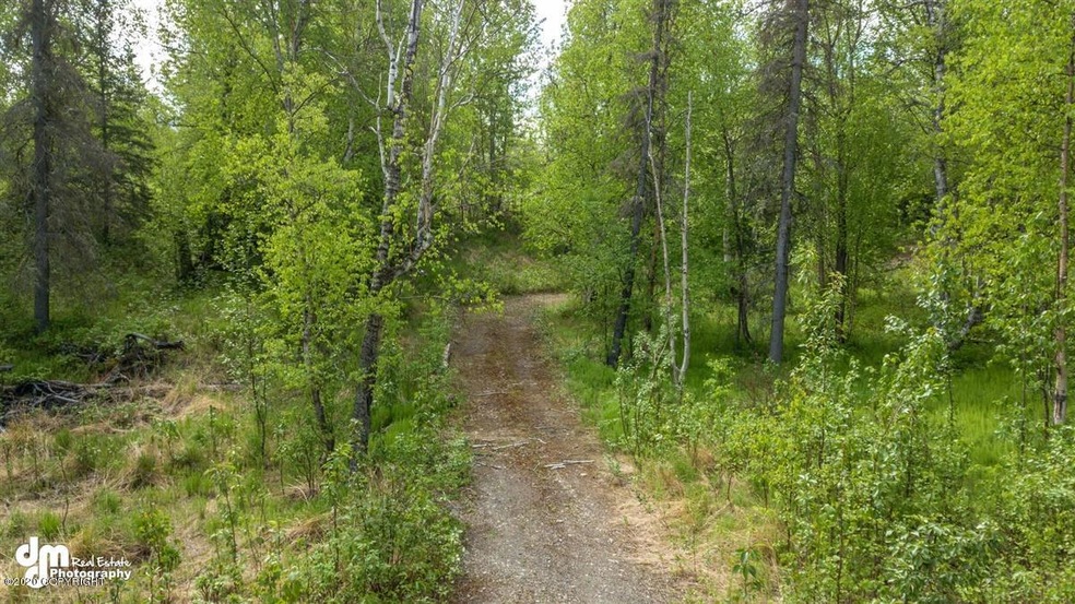 01-Driveway KJC_0040