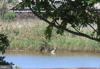 1350 Cox Cove Ct, Stoney Beach, MD 21226 - photo 1