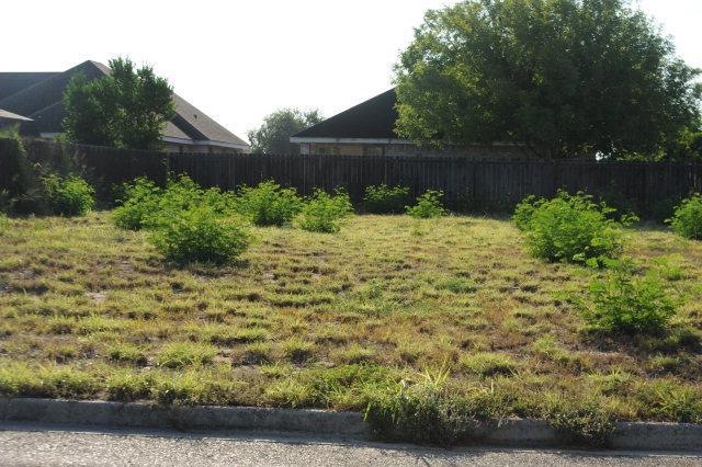 830 N 7 1 2 St, Alamo, TX 78516 - photo 1