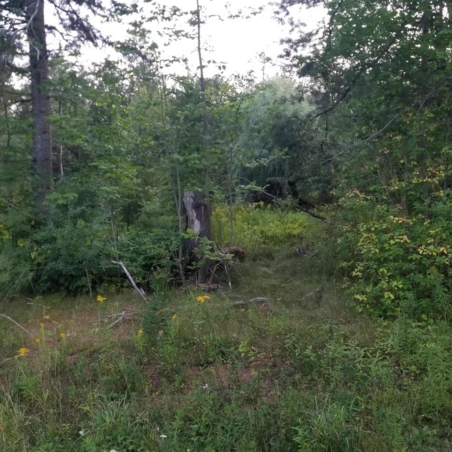 524 Millvale Rd, Bucksport, ME 04416 - photo 1