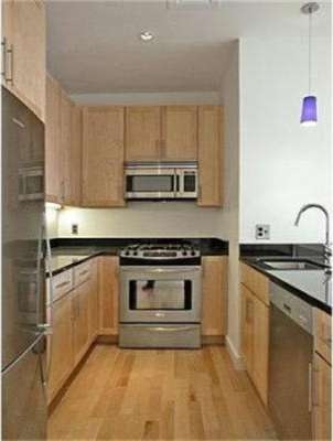 Lincoln Plaza II unit L619, Boston, MA 02111 - photo 1