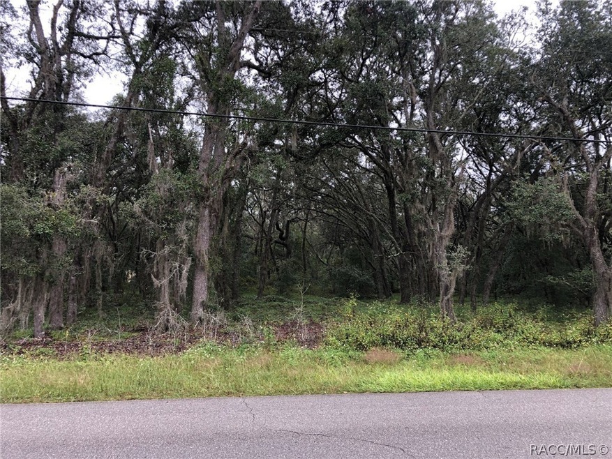 Front View of Homesite