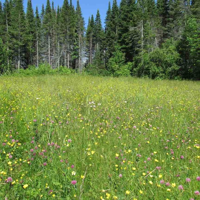 417-104.7 Marshall Hill Rd, Columbia, NH 03576 - photo 1