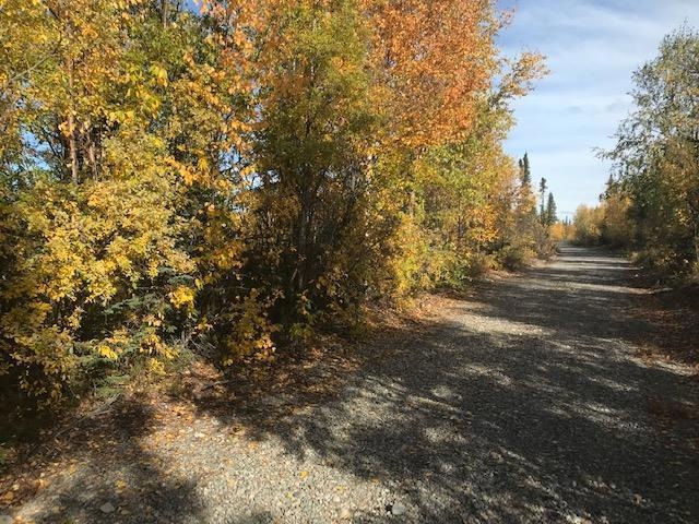 Fall Colors