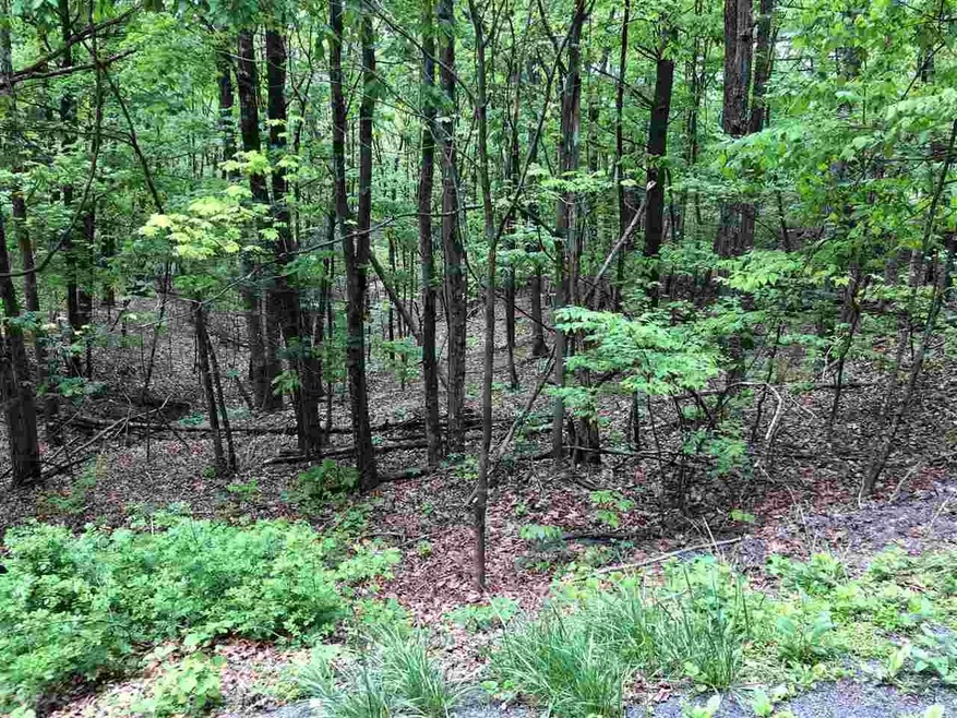 0 Clark Rd unit 629794, Basye, VA 22810 - photo 1