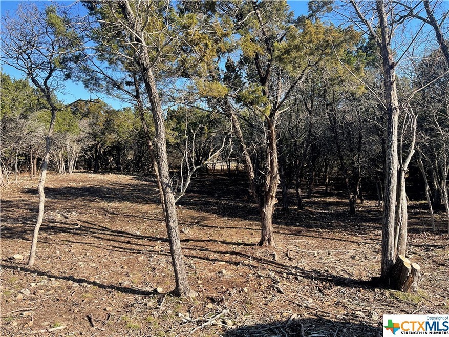 15920 Salado Dr, Temple, TX 76502 - photo 1