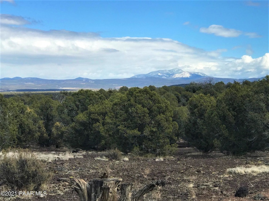 361 Robles, Ash Fork, AZ 86320 - photo 1