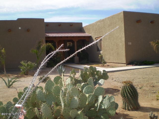 Front Yard