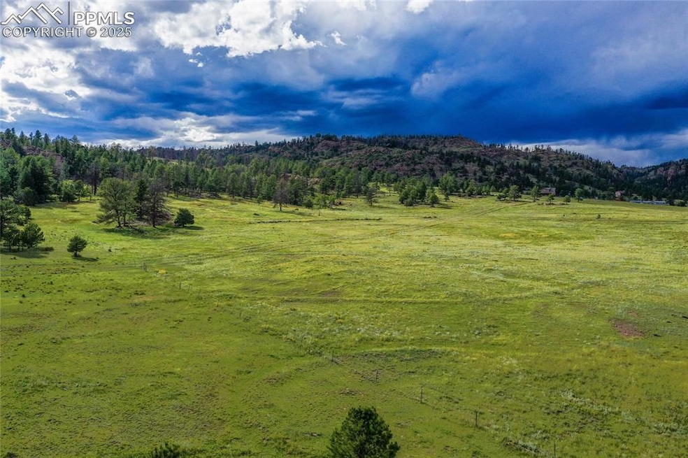 TBD Spring Valley Dr, Florissant, CO 80816 - photo 1