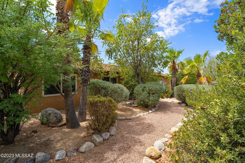 Lush Desert Landscaping