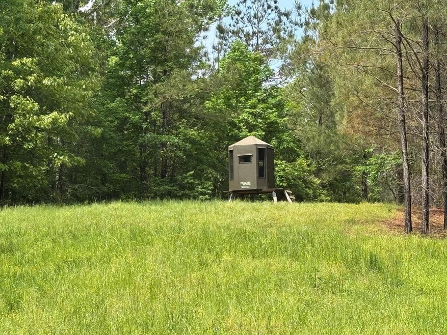 2048 Ashley Rd, Hazlehurst, MS 39083 - photo 1