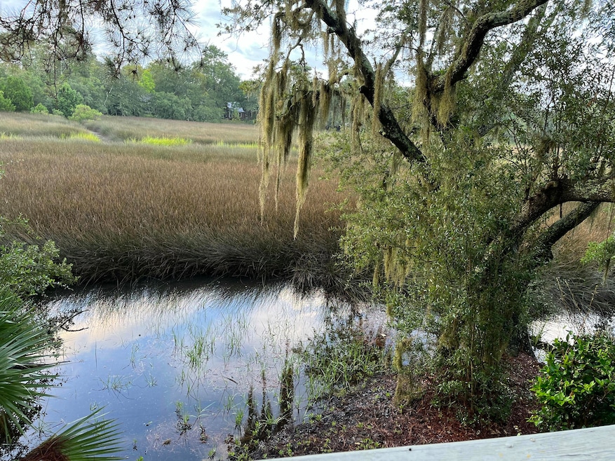 High Tide View