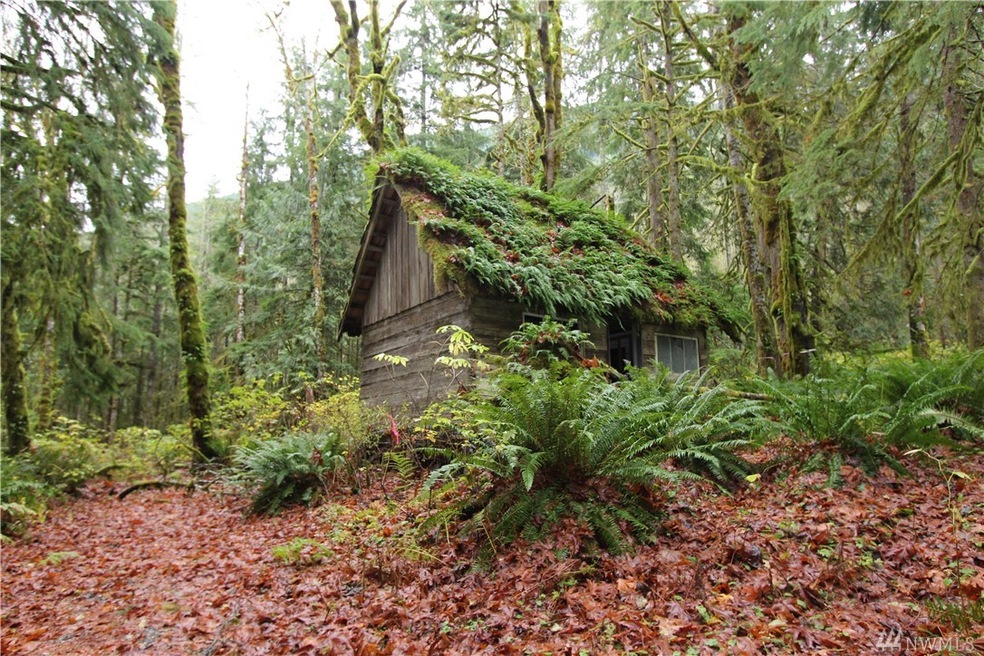 21104 Lake Riley Rd, Arlington, WA 98223 - photo 1