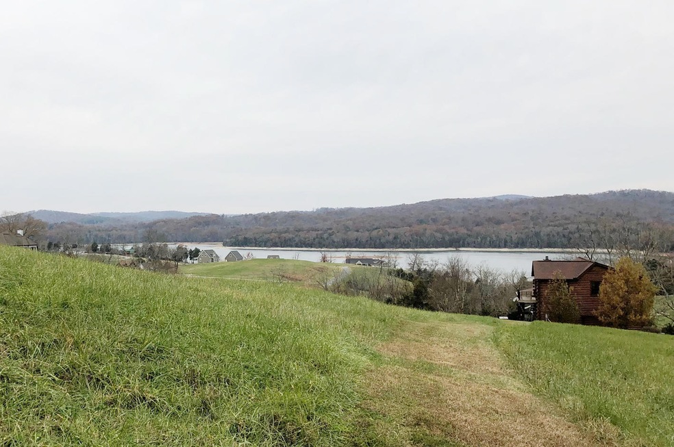 Lot #111 Swan Song, Norris Lake