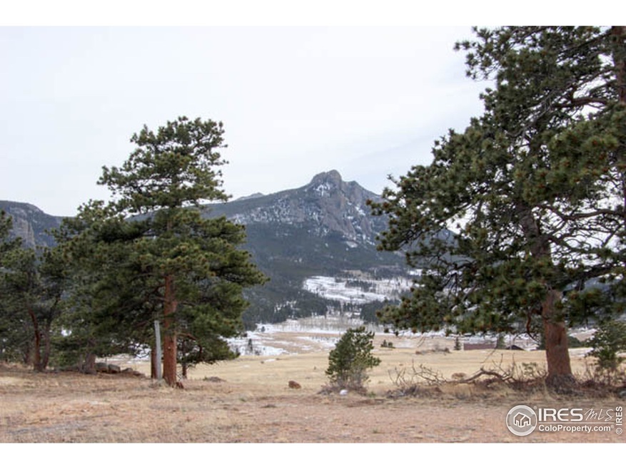 Twin Sisters Mountain Views