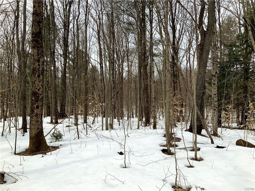 0 State Route 13 unit S1313433, Albion, NY 13302 - photo 1