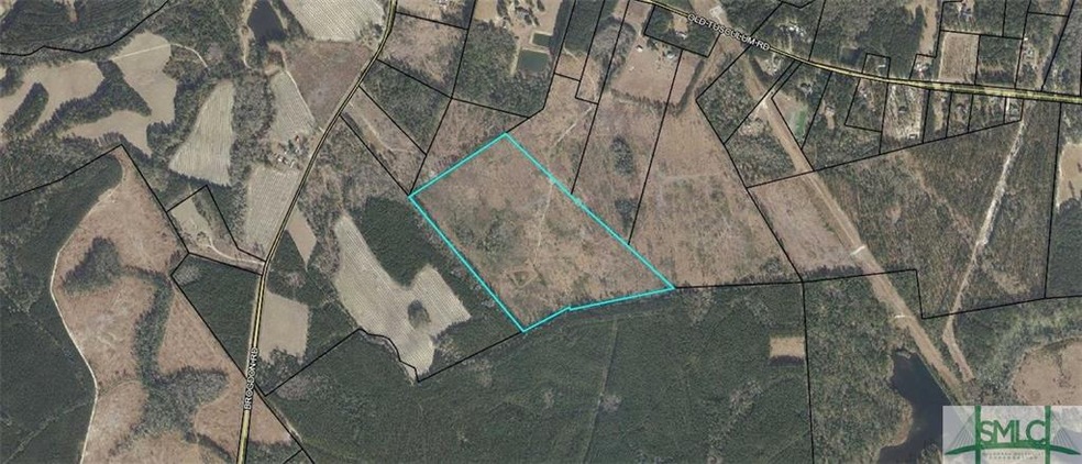 0 Springfield Tusculum Rd, Guyton, GA 31312 - photo 1