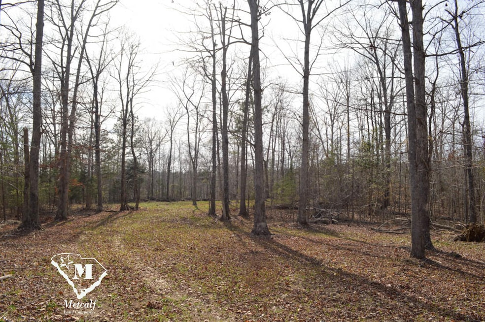 0 Cowpens Pacolet Rd unit 23075109, Spartanburg, SC 29307 - photo 1