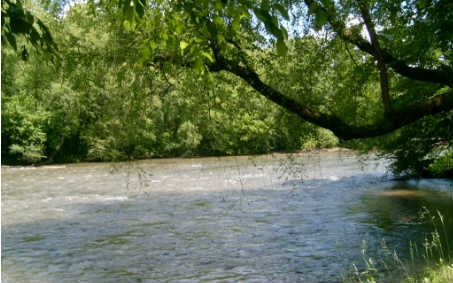 Main View