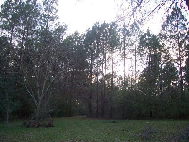 Main View