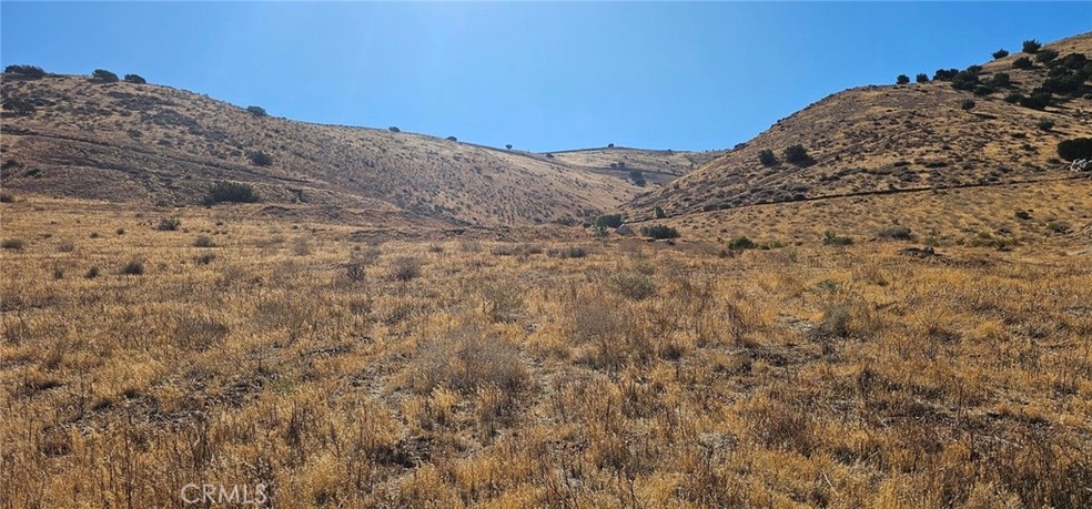 0 Rough Rd unit SR25202411, Palmdale, CA 93550 - photo 1