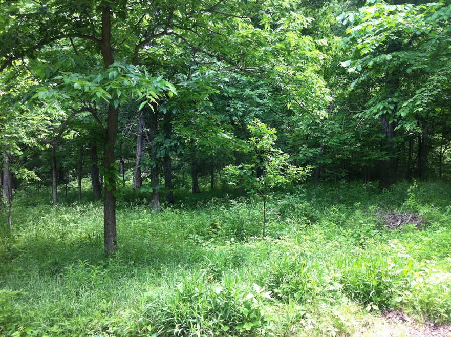 Land1