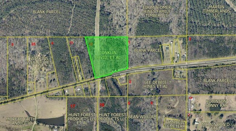 15.4 Acres Louisiana 107, Pineville, LA 71360 - photo 1