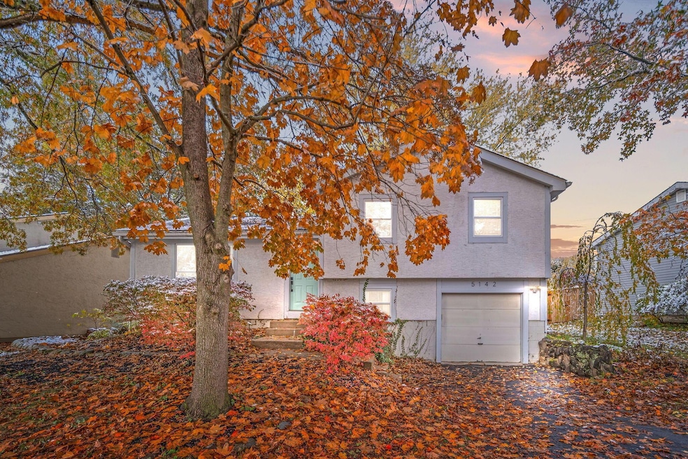 2-web-or-mls-DSC04038dte