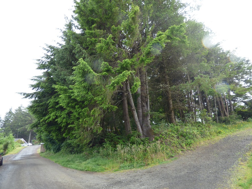 1691 SE Port Dr, Lincoln City, OR 97367 - photo 1