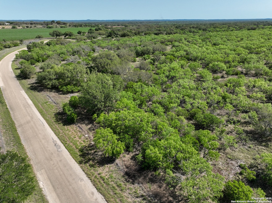 TBD Cr 341, Hondo, TX 78861 - photo 1