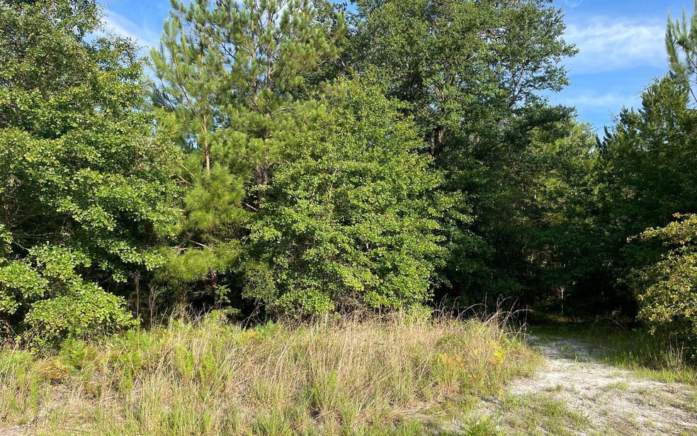 772 NW Country Lake Dr, Lake City, FL 32055 - photo 1