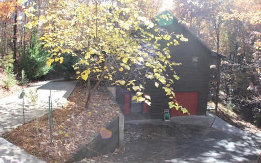 Main View