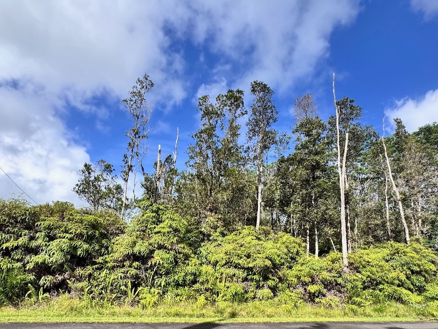0 Kumukahi St unit 725722, Pahoa, HI 96778 - photo 1