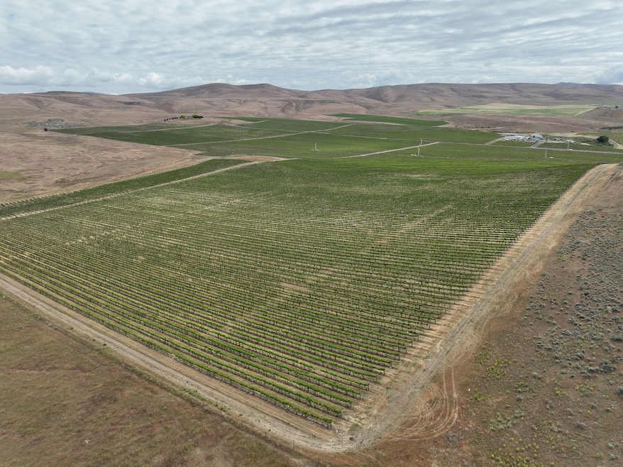 2020 Vintage Rd, Zillah, WA 98953 - photo 1