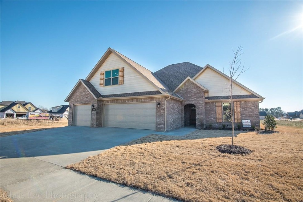 461 Via Stelvio Ave, Springdale, AR 72762 - photo 1